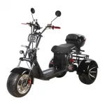 Электроскутер трехколесный CityCoco SkyBoard Trike BR60-3000 PRO — изображение 7