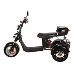 Электроскутер трехколесный CityCoco SkyBoard Trike BR60-3000 PRO — изображение 8