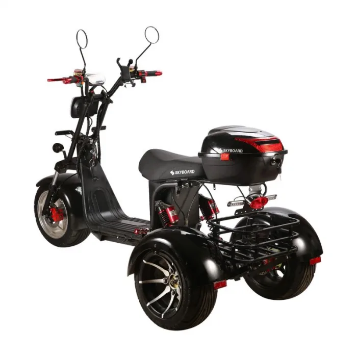 Электроскутер трехколесный CityCoco SkyBoard Trike BR60-3000 PRO — изображение 9