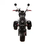 Электроскутер трехколесный CityCoco SkyBoard Trike BR60-3000 PRO — изображение 10