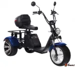 Электроскутер CityCoco SkyBoard Trike BR80