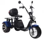 Электроскутер CityCoco SkyBoard Trike BR80 — изображение 2