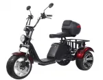 Электроскутер CityCoco SkyBoard Trike BR80 — изображение 4