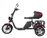 Электроскутер CityCoco SkyBoard Trike BR80 — изображение 6