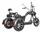 Электроскутер Citycoco SkyBoard TRIKE CHOPPER-2000 — изображение 9