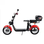 Электроскутер Citycoco WS Pro+ Max 3000W — изображение 4