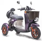 Электротрицикл электроскутер двухместный E-toro Retro XZ 600W 48V 20Ah — изображение 2