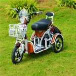 Электротрицикл электроскутер двухместный E-toro Retro XZ 600W 48V 20Ah — изображение 5