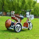 Электротрицикл электроскутер двухместный E-toro Retro XZ 600W 48V 20Ah — изображение 6