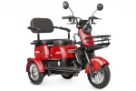 Электроскутер E-TRIKE MINYON 2+1 NEW 2024 с АКБ Li-ion 48V 20Ah — изображение 5