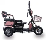 Электроскутер E-TRIKE TRANSFORMER PRO 2+1 650w — изображение 3