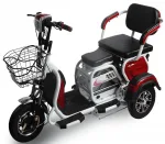Электроскутер E-TRIKE TRANSFORMER PRO 2+1 650w — изображение 10