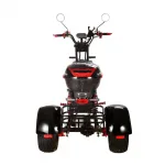 Электроскутер трехколесный CityCoco SkyBoard Trike BR60-3000 PRO FAST — изображение 11