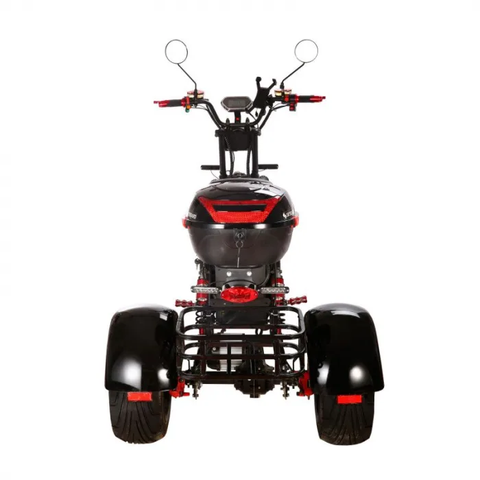 Электроскутер трехколесный CityCoco SkyBoard Trike BR60-3000 PRO FAST — изображение 11