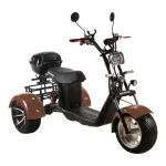 Электроскутер трехколесный CityCoco SkyBoard Trike BR60-3000 PRO FAST — изображение 5