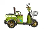 Электроскутер Trike 500W - электротрицикл Greengo V3 500W — изображение 2