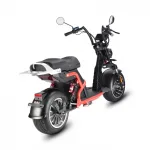 Электроскутер WHITE SIBERIA PRO BLACK EDITION 5000W — изображение 10