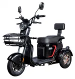 Электроскутер (электротрицикл) WHITE SIBERIA SIBTRIKE L 2000W — изображение 2