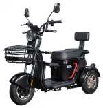 Электроскутер (электротрицикл) WHITE SIBERIA SIBTRIKE L 2000W — изображение 3