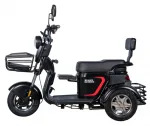 Электроскутер (электротрицикл) WHITE SIBERIA SIBTRIKE L 2000W — изображение 5