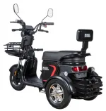 Электроскутер (электротрицикл) WHITE SIBERIA SIBTRIKE L 2000W — изображение 7