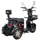 Электроскутер (электротрицикл) WHITE SIBERIA SIBTRIKE L 2000W — изображение 8