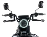 Электроскутер (электротрицикл) WHITE SIBERIA SIBTRIKE L 2000W — изображение 9