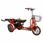 Электротрицикл Адъютант Double Twix  2x350w48v20a (li-ion) — изображение 3