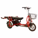 Электротрицикл Elbike Адьютант A4 — изображение 6