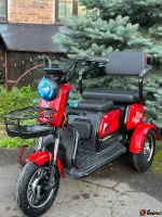 Электротрицикл Electrotrike Бумеранг 3000 красный — изображение 4