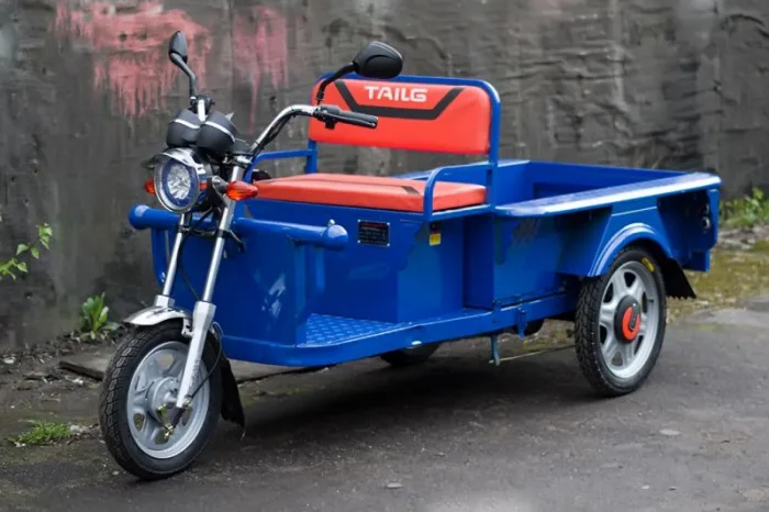 Электротрицикл Electrotrike V300 — изображение 8