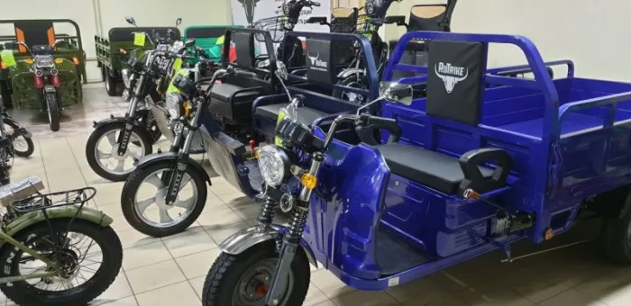 Грузовая электрическая тележка D4 синяя — изображение 5