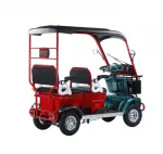 Электротрицикл Gelbert Hara 48V/60V 600Вт — изображение 5