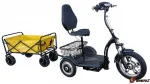 Электротрицикл HEADWAY LUX DUAL TR 700W черный