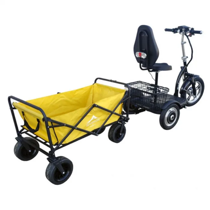 Электротрицикл HEADWAY LUX DUAL TR 700W черный — изображение 3