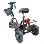 Электротрицикл HEADWAY TIAN DUO 700W черный — изображение 3