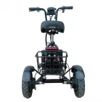 Электротрицикл HEADWAY TIAN DUO 700W черный — изображение 4