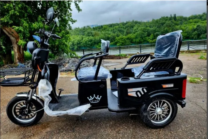 Электротрицикл IKINGI — изображение 2