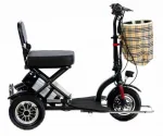 Электротрицикл OxyVolt HandyTrike 500w Li-ion 48V 12Ah — изображение 2
