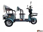 Электротрицикл ProTrike Baikal 1000W
