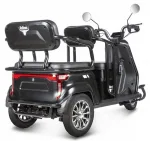 Электротрицикл Rutrike Топик — изображение 10