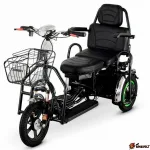 Электротрицикл Transporter Dual PRO Li-Ion