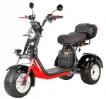 Электротрицикл WHITE SIBERIA IKRA 5000W — изображение 2