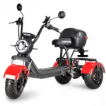 Электротрицикл WHITE SIBERIA TRIKE MINI 2000W — изображение 2