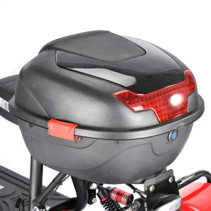 Электротрицикл WHITE SIBERIA TRIKE MINI 2000W — изображение 15