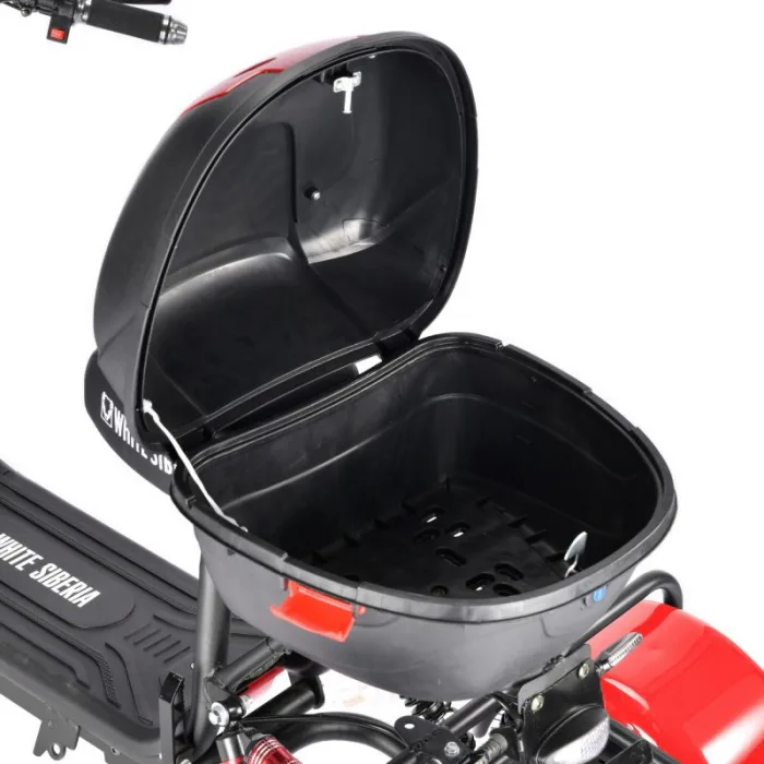 Электротрицикл WHITE SIBERIA TRIKE MINI 2000W — изображение 16