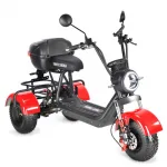 Электротрицикл WHITE SIBERIA TRIKE MINI 2000W — изображение 3