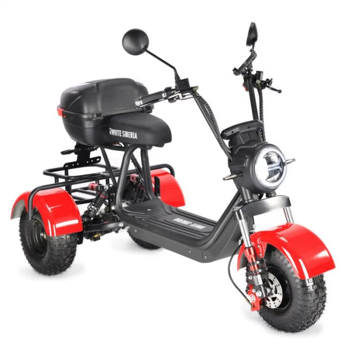 Электротрицикл WHITE SIBERIA TRIKE MINI 2000W — изображение 3