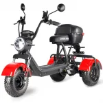 Электротрицикл WHITE SIBERIA TRIKE MINI 2000W — изображение 4