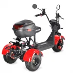 Электротрицикл WHITE SIBERIA TRIKE MINI 2000W — изображение 5